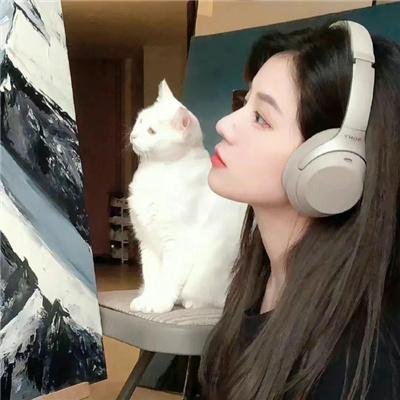 猛虎嗅蔷薇之替天行盗